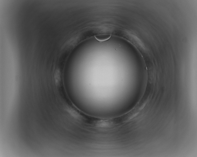 X0000111120077200907071006