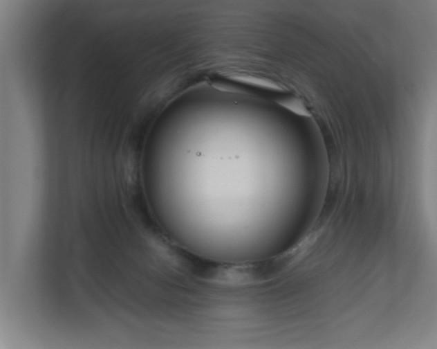 X0000111120078200907071006