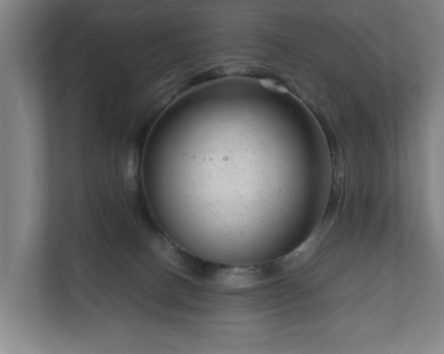 X0000111120082200907071006