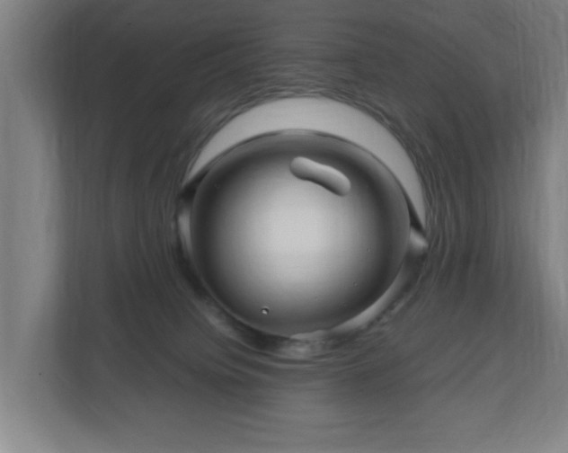 X0000111120084200907071006