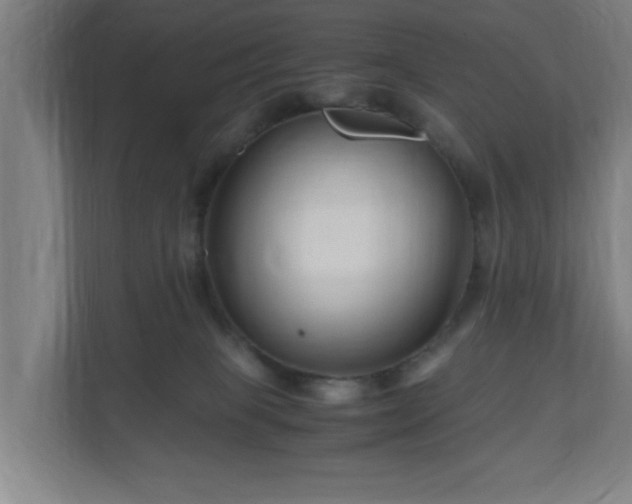 X0000111120085200907071006