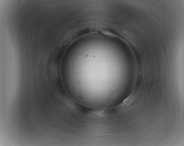 X0000111120086200907071006