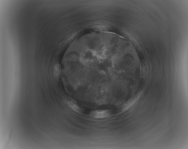 X0000111120093200907071006