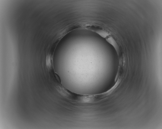 X0000111120094200907071006