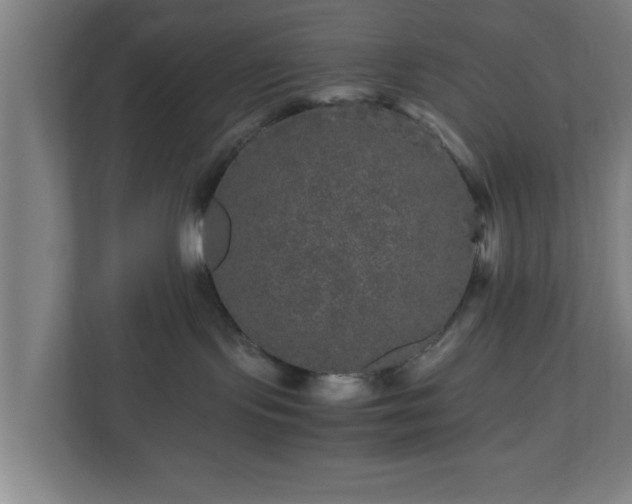 X0000111120095200907071006