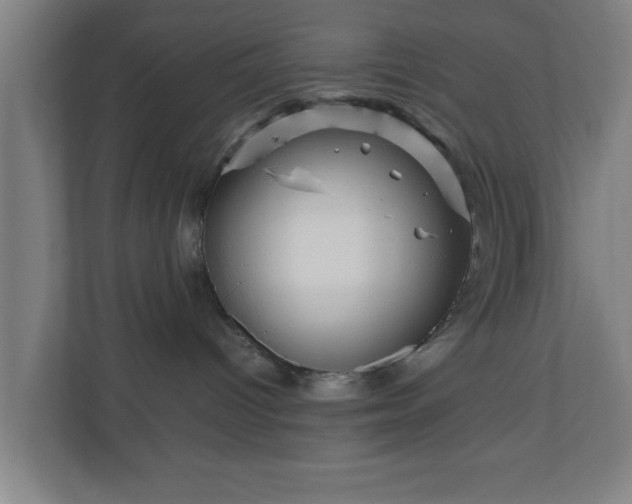 X0000111120096200907071006