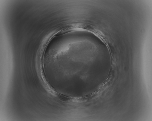 X0000111120097200907071006