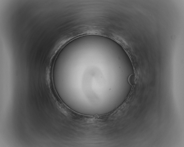 X0000111120098200907071006