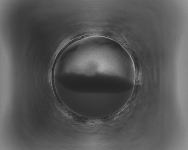 X0000111120099200907071006