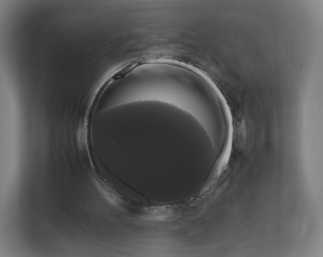 X0000111120100200907071006