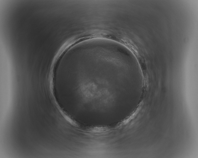 X0000111120101200907071005