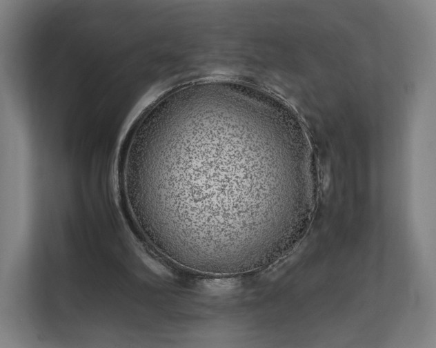 X0000111120102200907071005