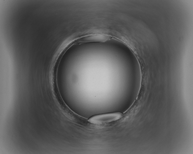 X0000111120103200907071005