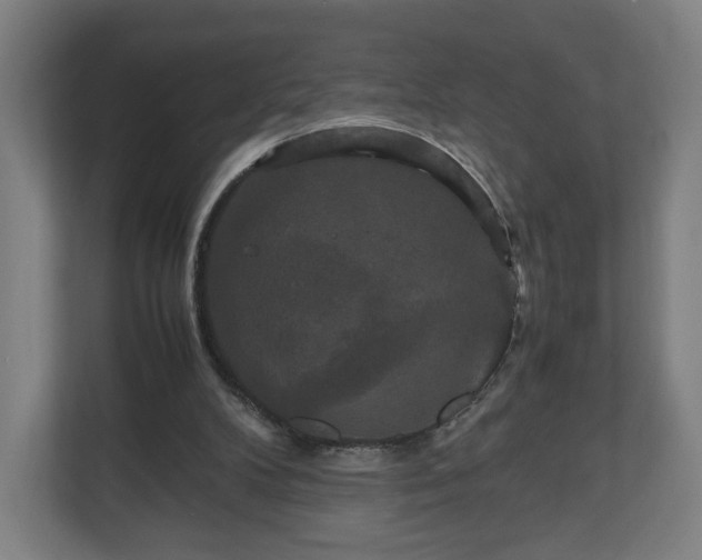 X0000111120104200907071005