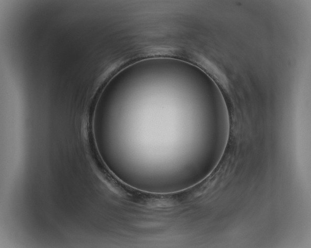 X0000111120107200907071005