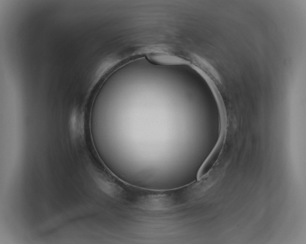 X0000111120108200907071005