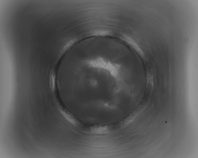 X0000111120110200907071005