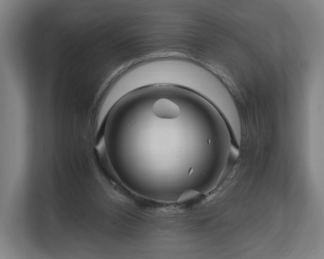 X0000111120112200907071005