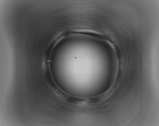 X0000111120116200907071005