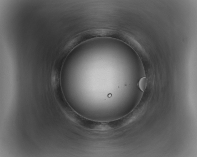 X0000111120119200907071005