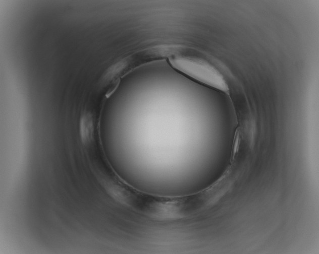 X0000111120120200907071005