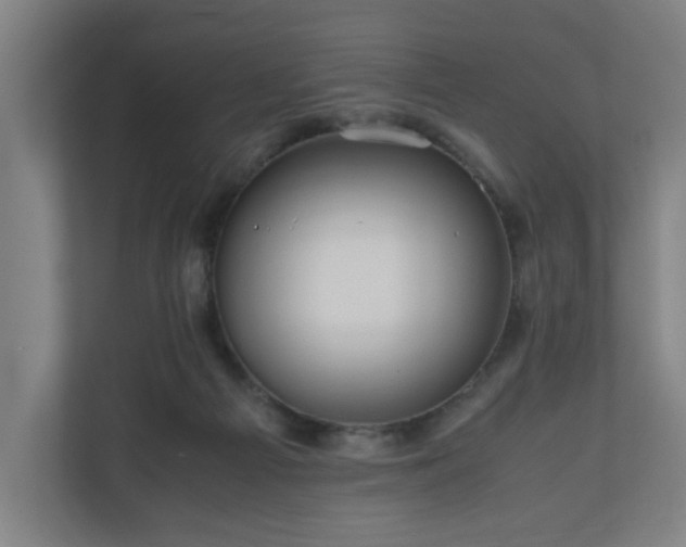 X0000111120121200907071005