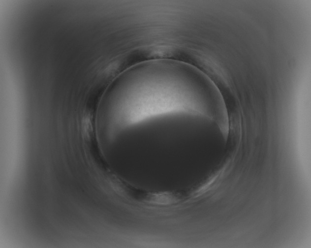 X0000111120127200907071005