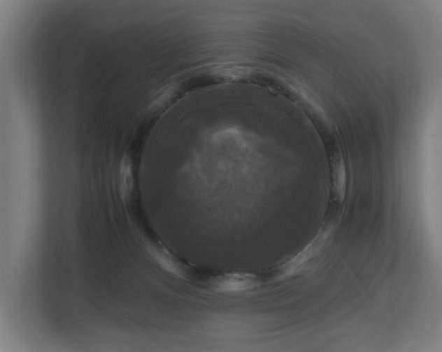 X0000111120128200907071005