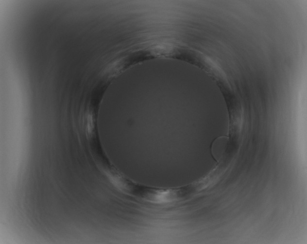 X0000111120130200907071005