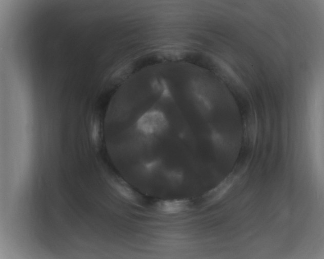 X0000111120134200907071005