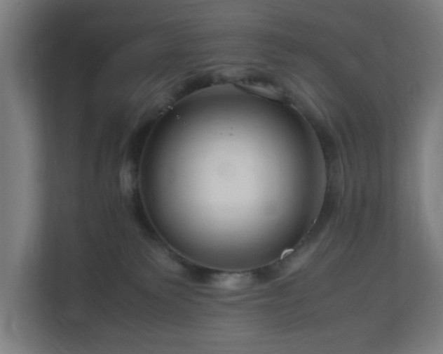 X0000111120135200907071005