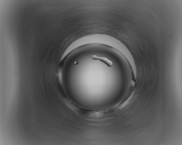 X0000111120140200907071005