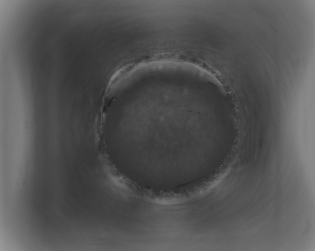 X0000111120144200907071005