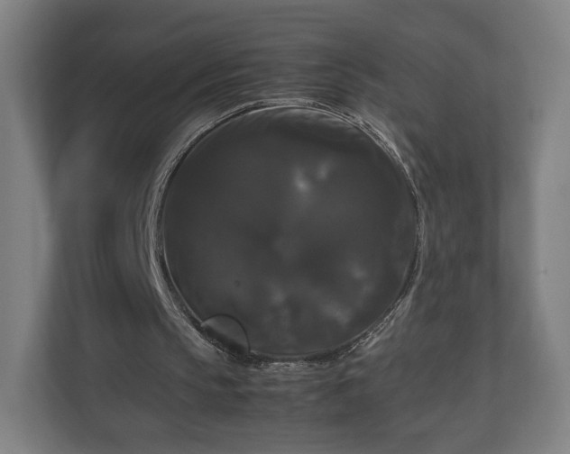 X0000111120145200907071004