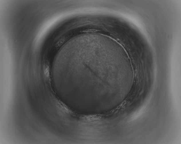 X0000111120146200907071004