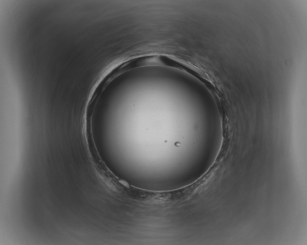 X0000111120148200907071004