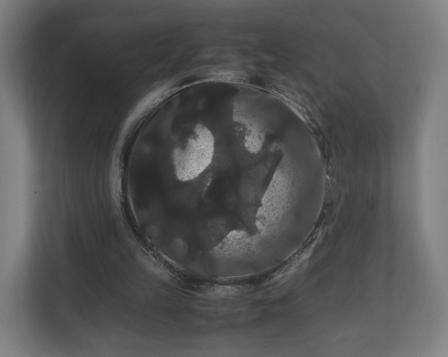 X0000111120149200907071004