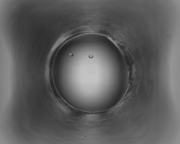 X0000111120150200907071004