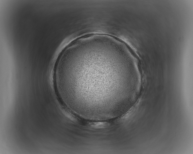 X0000111120151200907071004