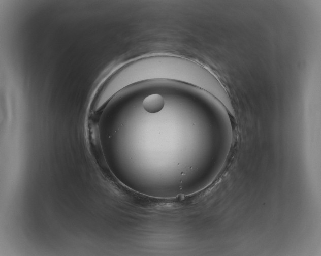 X0000111120152200907071004