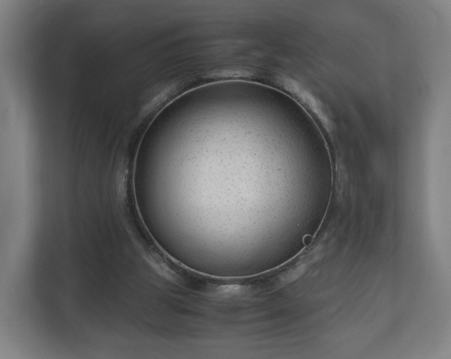 X0000111120153200907071004