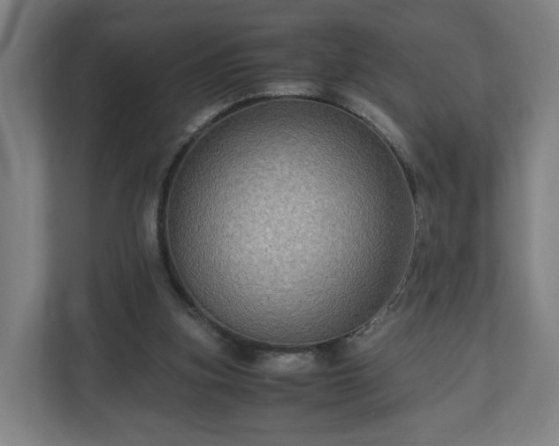 X0000111120155200907071004