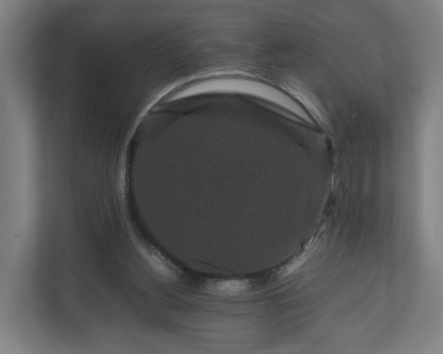 X0000111120156200907071004