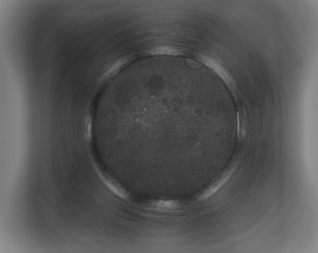 X0000111120157200907071004