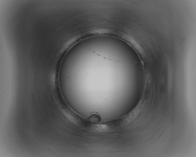 X0000111120159200907071004