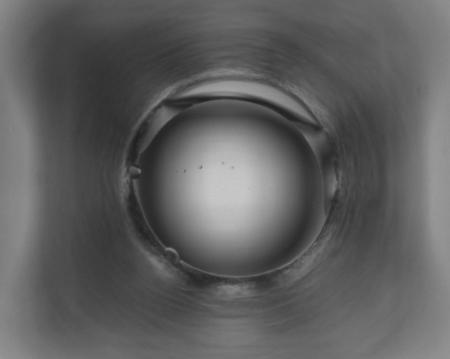 X0000111120160200907071005