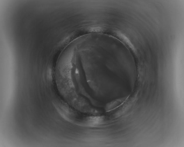 X0000111120161200907071005