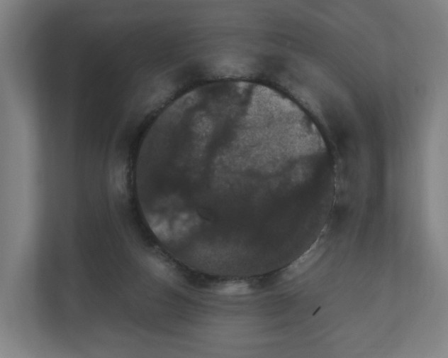 X0000111120162200907071005