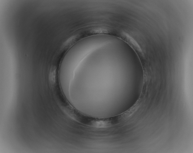 X0000111120163200907071005