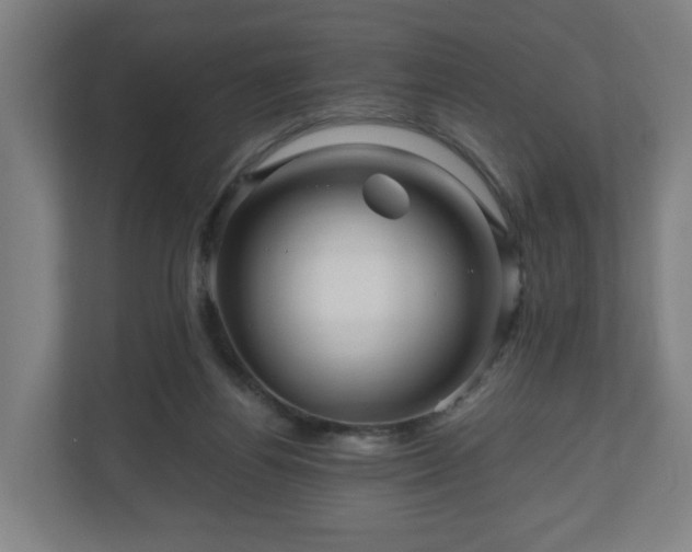 X0000111120164200907071005